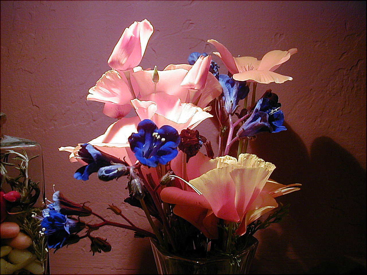 p3070028.jpg