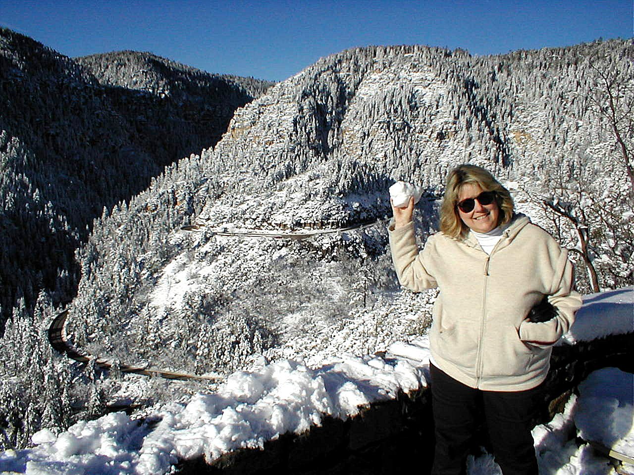 snowsusan2.jpg