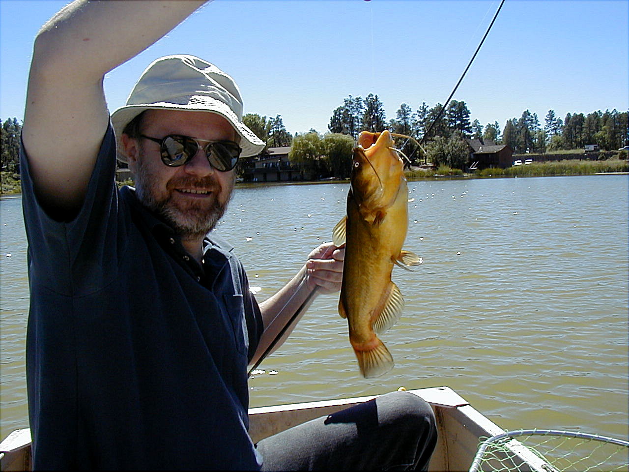 uglycatfish9-19-01.jpg